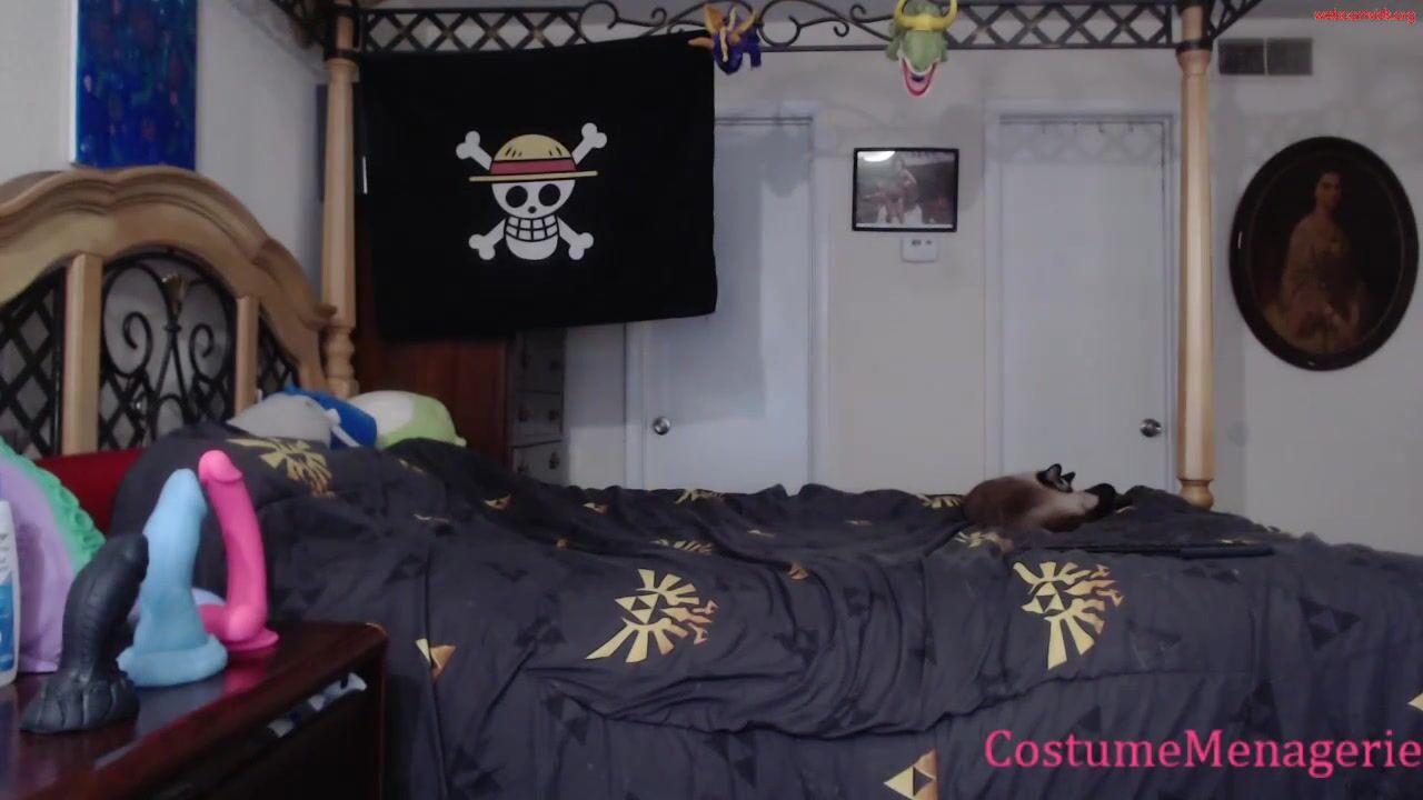 costumemenagerie - Private  Video brownhair analplay