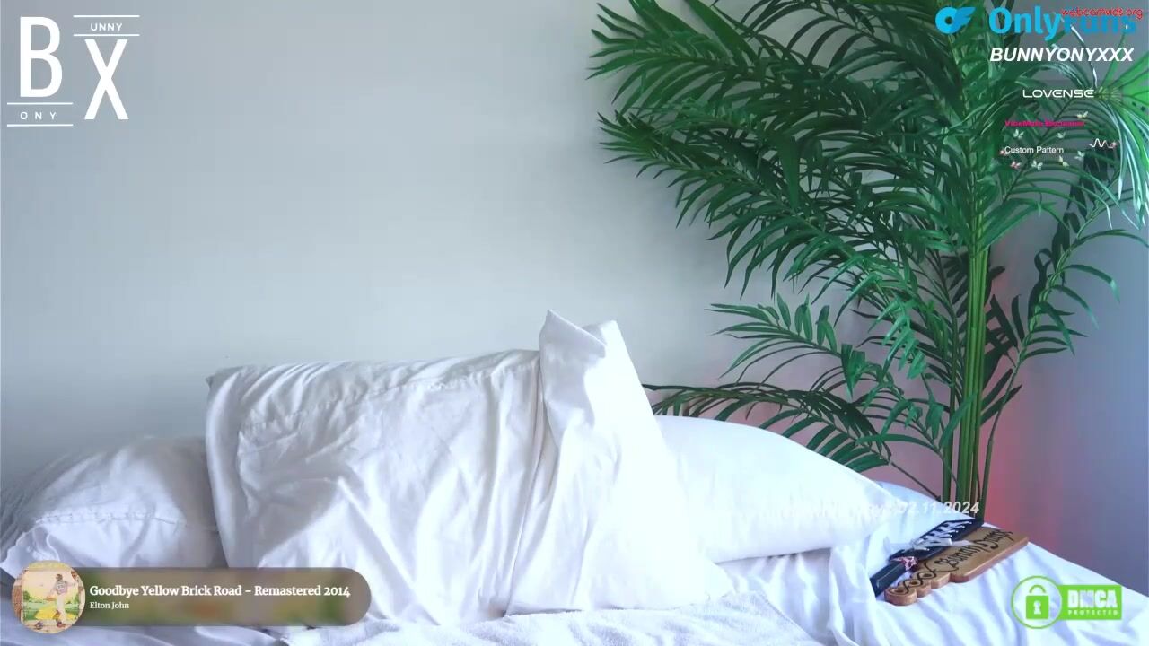bunnyonyx - Private  Video fetish newmodel dildoplay