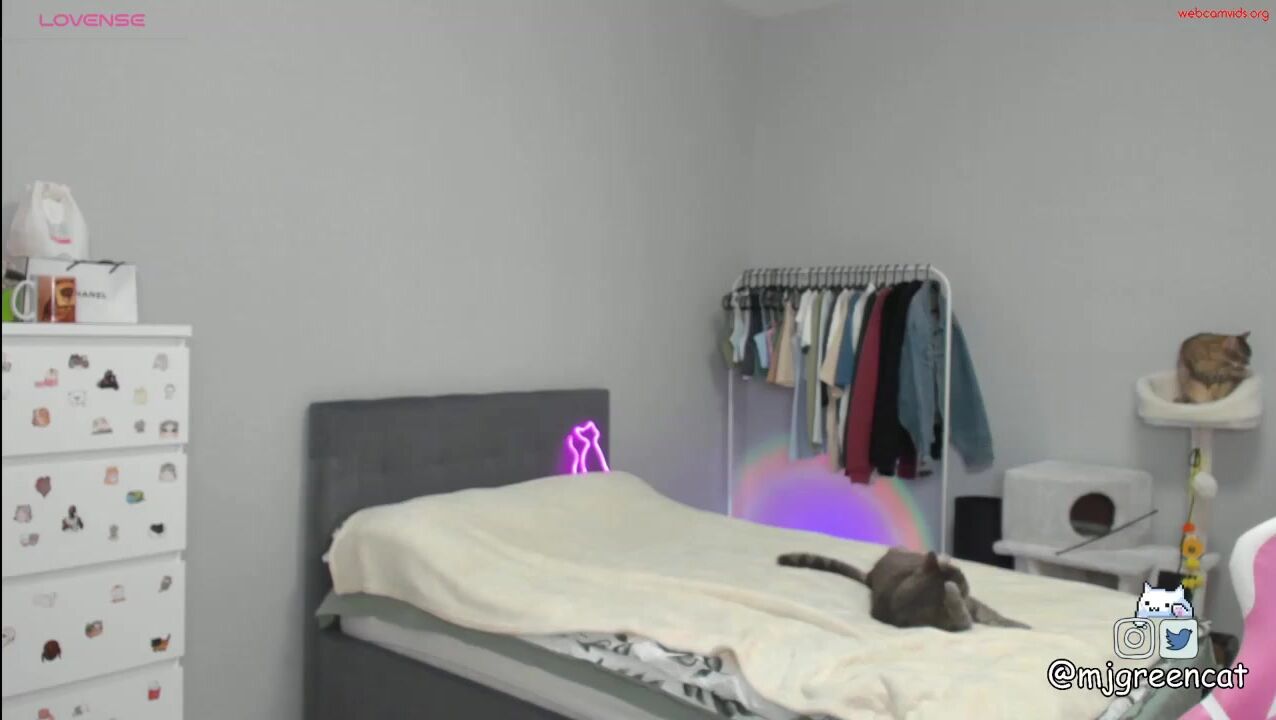mjgreencat - Private  Video lovense punish lovenseon