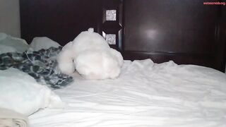 wetcreamerr - Private  Video creamycum hush bigtoy
