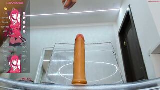 sonyahailey - Private  Video kink wife ftm